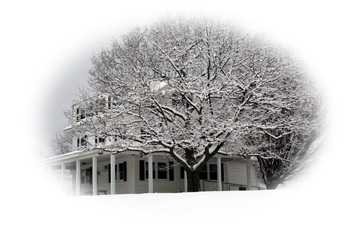 Van Clef Cottage/Chapel